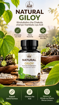 NATURAL GILOY SUPPLEMENT